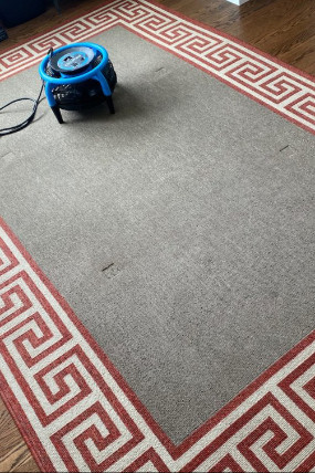 Thompson Carpet Cleaning Service contact about carpet cleaning tx area rug cleaning tx carpet cleaning in richmond area rug cleaning in richmond