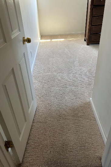 Thompson Carpet Cleaning Service contact about carpet cleaning tx area rug cleaning tx carpet cleaning in richmond area rug cleaning in richmond