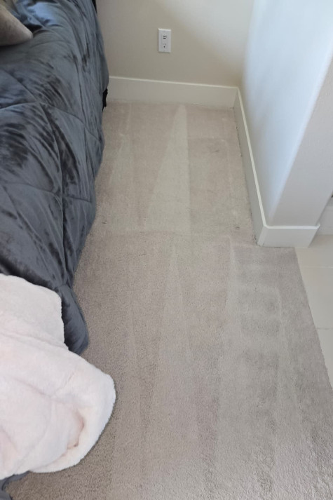 Thompson Carpet Cleaning Service contact about carpet cleaning tx area rug cleaning tx carpet cleaning in richmond area rug cleaning in richmond