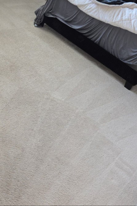 Thompson Carpet Cleaning Service contact about carpet cleaning tx area rug cleaning tx carpet cleaning in richmond area rug cleaning in richmond
